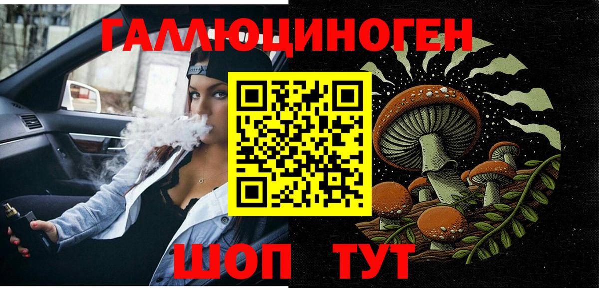 Галлюциногенные грибы Psilocybine cubensis Грозный